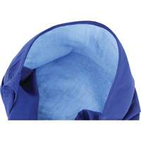 Foulards de refroidissement en triangle Chill-Its 6710CT, Bleu Pryde Industrial Inc.