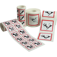 GHS Pictogram Labels, Vinyl, Roll, 4" L x 4" W Pryde Industrial Inc.
