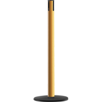 Advance TensaBarrier&reg; - Receiver Post, 36" High, Yellow Pryde Industrial Inc.