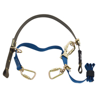 Dispositif &agrave; sangle pour escalade de poteau Cynch-Lok Pryde Industrial Inc.