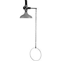 Lifesaver&reg; Emergency Overhead Showers, Ceiling-Mount Pryde Industrial Inc.