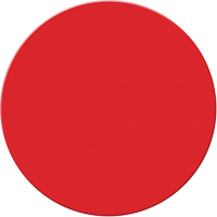Armor Stripe Lean/5S Markers, Circle, 6" L x 6" W, Red, Plastic Pryde Industrial Inc.