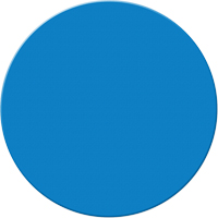 Armor Stripe Lean/5S Markers, Circle, 6" L x 6" W, Blue, Plastic Pryde Industrial Inc.