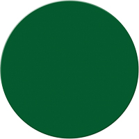 Armor Stripe Lean/5S Markers, Circle, 6" L x 6" W, Green, Plastic Pryde Industrial Inc.