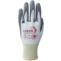 Gants r&eacute;sistants &agrave; la coupe PowerFit Lebon, Taille Grand/9, Calibre 13, Rev&ecirc;tement Polyur&eacute;thane, Enveloppe en Poly&eacute;thyl&egrave;ne, ASTM ANSI niveau A2/EN 388 niveau B Pryde Industrial Inc.