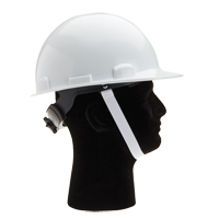 North&reg; 2 Point Hardhat Chinstrap Pryde Industrial Inc.