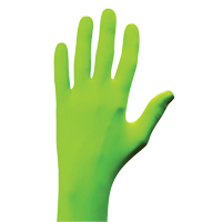 N-Dex&reg; Gloves, Small, Nitrile, 5-mil, Powder-Free, Green Pryde Industrial Inc.