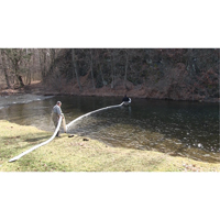 Balle SpillBoa, Huile seulement, 25' lo x 5" la, Absorption 28 gal., 4 /pqt Pryde Industrial Inc.