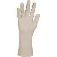 Gants d'examen XTRA-PFE, Grand, Latex, 10 mils, Sans poudre, Blanc, Classe 2 Pryde Industrial Inc.