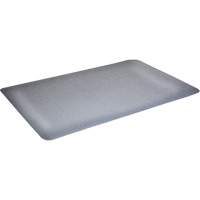 Tapis antimicrobiens WD Foodmaster, Lisse, 3' x 4' x 9/16", Gris, Nitrile/Caoutchouc Pryde Industrial Inc.