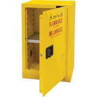 Armoire pour produits inflammables, 12 gal., 1 Porte(s), 23" La x 35" h x 18" p Pryde Industrial Inc.