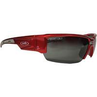 Hartley Safety Glasses, Grey Lens, Polarized, Meets/Exceeds CSA Z94.3 Pryde Industrial Inc.