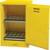 Armoire de rangement pour a&eacute;rosols inflammables, 12 gal., 1 Porte(s), 23" La x 35" h x 18" p Pryde Industrial Inc.