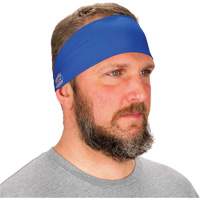 Chill-Its 6634 Cooling Headband, Blue Pryde Industrial Inc.