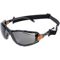 XPS502 Sealed Safety Glasses, Smoke Lens, Anti-Fog/Anti-Scratch Pryde Industrial Inc.