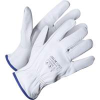 Delta Force Driver's Glove, 7/Small, Grain Goatskin Palm, Kevlar&reg; Inner Lining Pryde Industrial Inc.