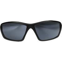 Robson Safety Glasses with Gasket, Silver Mirror Lens, Anti-Scratch/Polarized, ANSI Z87+/MCEPS GL-PD 10-12/Meets/Exceeds CSA Z94.3 Pryde Industrial Inc.