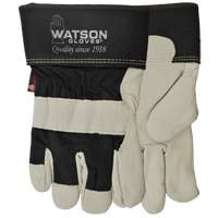 Big Dawg Gloves, Small, Grain Cowhide Palm, Thinsulate Inner Lining Pryde Industrial Inc.