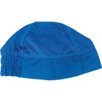 Cooling Skull Cap, Blue Pryde Industrial Inc.
