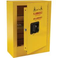 Armoire de s&eacute;curit&eacute; miniature pour produits inflammables, 2 gal., 1 Porte(s), 17" La x 22" h x 8" p Pryde Industrial Inc.