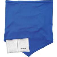 Cache-cou/bandana de refroidissement Chill-Its 6482 avec sachet r&eacute;frig&eacute;rant &agrave; changement de phase r&eacute;utilisable, petit/moyen, Bleu Pryde Industrial Inc.