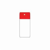 Scaffold Safety Tags, Polyester, 4" W x 7" H, English Pryde Industrial Inc.