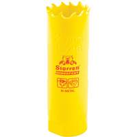 Bi-Metal Holesaw - 13/16", 13/16", 2" Depth of Cut, Bi-Metal Pryde Industrial Inc.