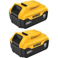 Bloc-piles Max XR Premium, Lithium-ion, 20 V, 5 A Pryde Industrial Inc.