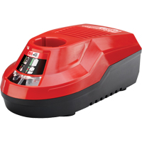 Chargeur M4 , 4 V, Lithium-ion Pryde Industrial Inc.
