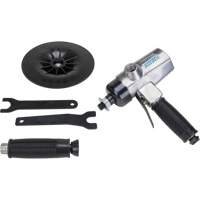 Vertical Sander, 7" Dia., 1/4" NPTF Inlet, 4500 RPM Pryde Industrial Inc.