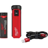 Trousse d'alimentation et de chargeur USB Redlithium, 4 V, Lithium-ion Pryde Industrial Inc.