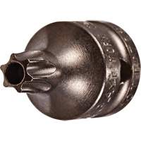 Embout &agrave; ins&eacute;rer, Torx inviolable, 8 x 3/4" lo, Prise 1/4" Pryde Industrial Inc.