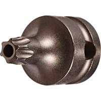 Embout &agrave; ins&eacute;rer, Torx inviolable, 25 x 1" lo, Prise 3/8" Pryde Industrial Inc.