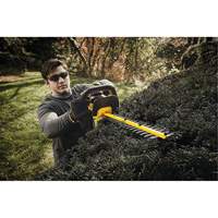 Taille-haie sans fil Max, 22", 20 V, &agrave; pile Pryde Industrial Inc.