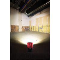 Projecteur d'illumination montable M12 ROVER, DEL, 250 W, 1000 lumens Pryde Industrial Inc.