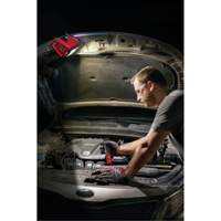 Projecteur d'illumination montable M12 ROVER, DEL, 250 W, 1000 lumens Pryde Industrial Inc.