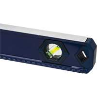 High-Accuracy Level, Box, 4' L, Aluminum, 3, Non-Magnetic Pryde Industrial Inc.