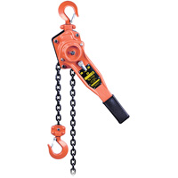 VLP Series Lever Chain Hoist, 10' Lift, 1653.46 lbs. (0.75 tons) Capacity Pryde Industrial Inc.
