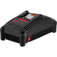 Chargeur de batterie IQV40, 40 V, Lithium-ion Pryde Industrial Inc.