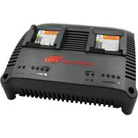 Chargeur universel s&eacute;rie IQV, 12 V/20 V, Lithium-ion Pryde Industrial Inc.