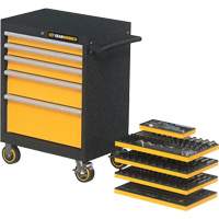 Mechanics Tool Set in Modular Foam Trays with Storage Unit, 247 Pieces Pryde Industrial Inc.