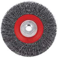 5C14T High Performance Crimped Wire Brush, 5" Dia., 0.014" Fill, 5/8"-11NC Arbor Pryde Industrial Inc.