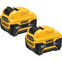 Bloc-piles Max*, Lithium-ion, 12 V, 5 Ah Pryde Industrial Inc.