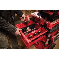 Diviseur pour boîtes &agrave; outils &agrave; tiroirs Packout Pryde Industrial Inc.