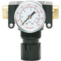 MODULAIR 200 Acetal Piston Regulator, 1/4" NPT, 150 PSI Max. PSI, In Line/Modular Pryde Industrial Inc.