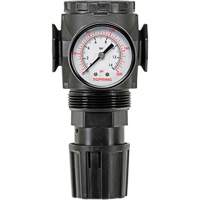 MODULAIR 300 Zinc Diaphragm Regulator, 3/8" NPT, 300 psi Max. PSI, In Line/Modular Pryde Industrial Inc.