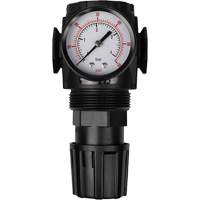 MODULAIR 300 Compressed Air Regulator, 1/2" NPT, 300 psi Max. PSI, In Line/Modular Pryde Industrial Inc.