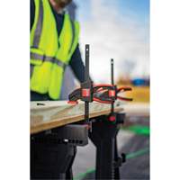 Medium Trigger Clamps Set, 12" (304.8 mm) Pryde Industrial Inc.
