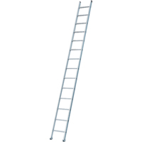 Industrial Heavy-Duty Extension/Straight Ladders, 8', Aluminum, 300 lbs., CSA Grade 1A Pryde Industrial Inc.