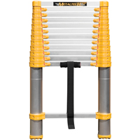 Telescopic Ladder, 3' - 12', Aluminum, 250 lbs. Capacity, Type 1 Pryde Industrial Inc.